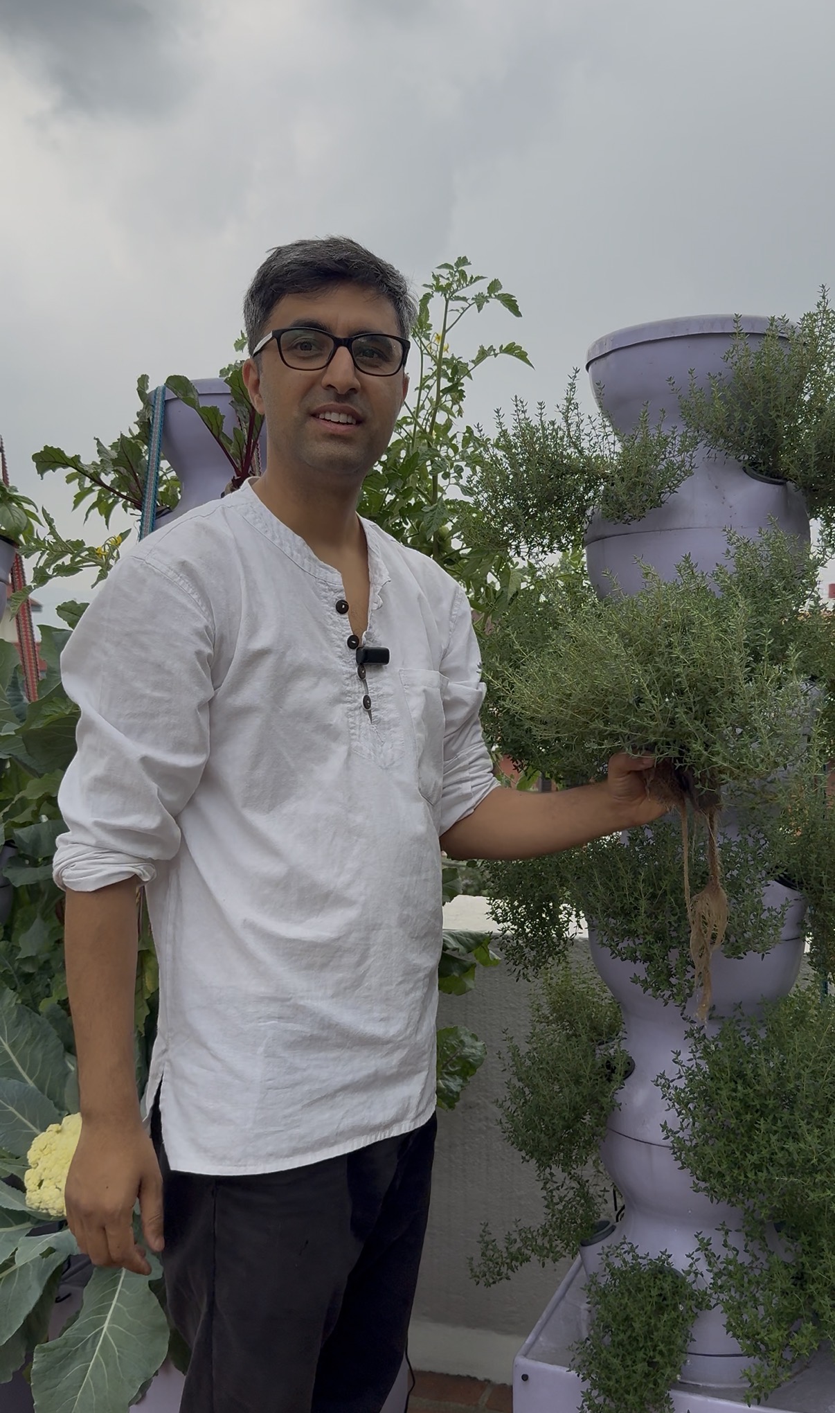 Towerganics gallery photo