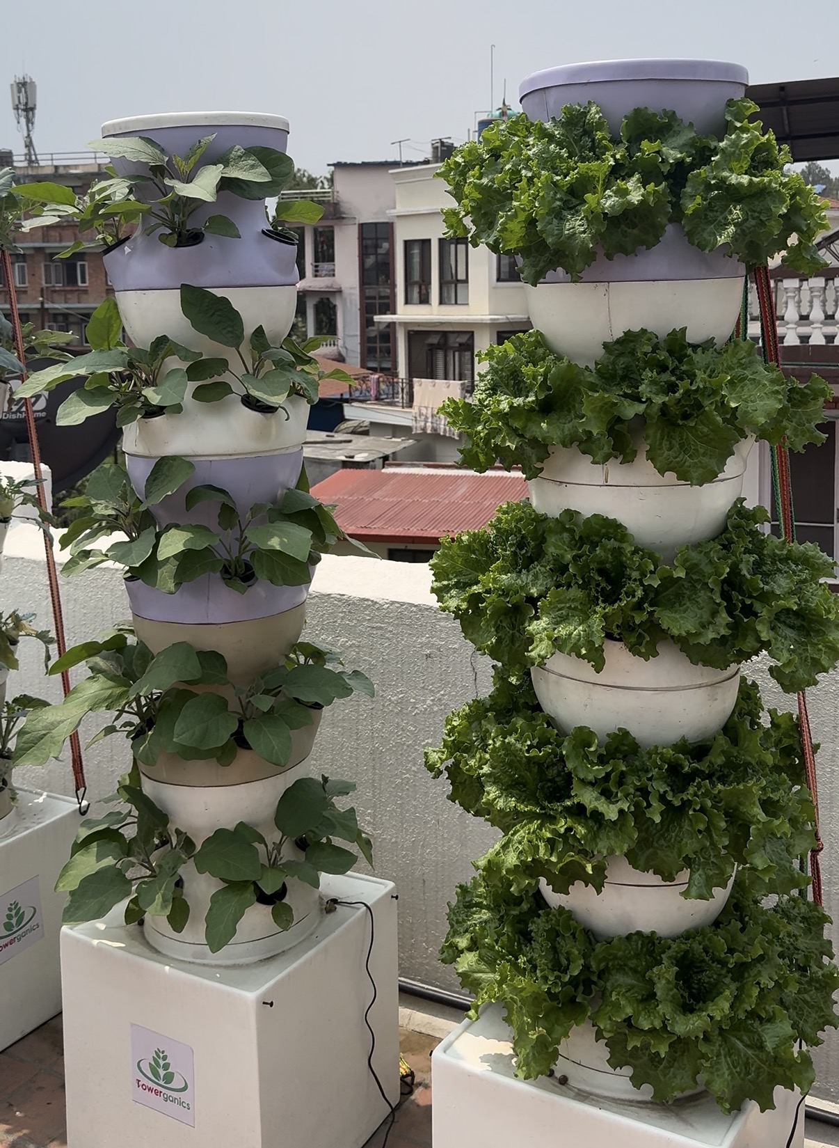 The Towerganics journey
